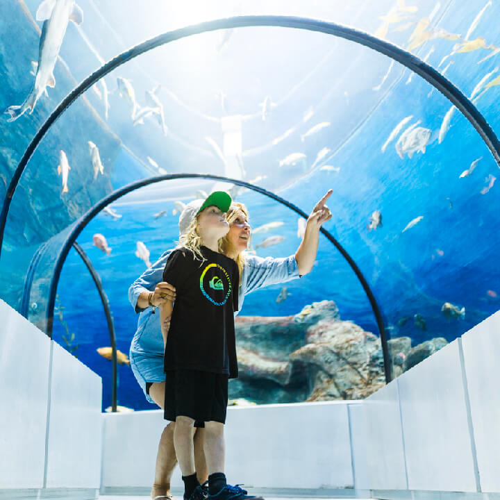 Aquarium du Québec